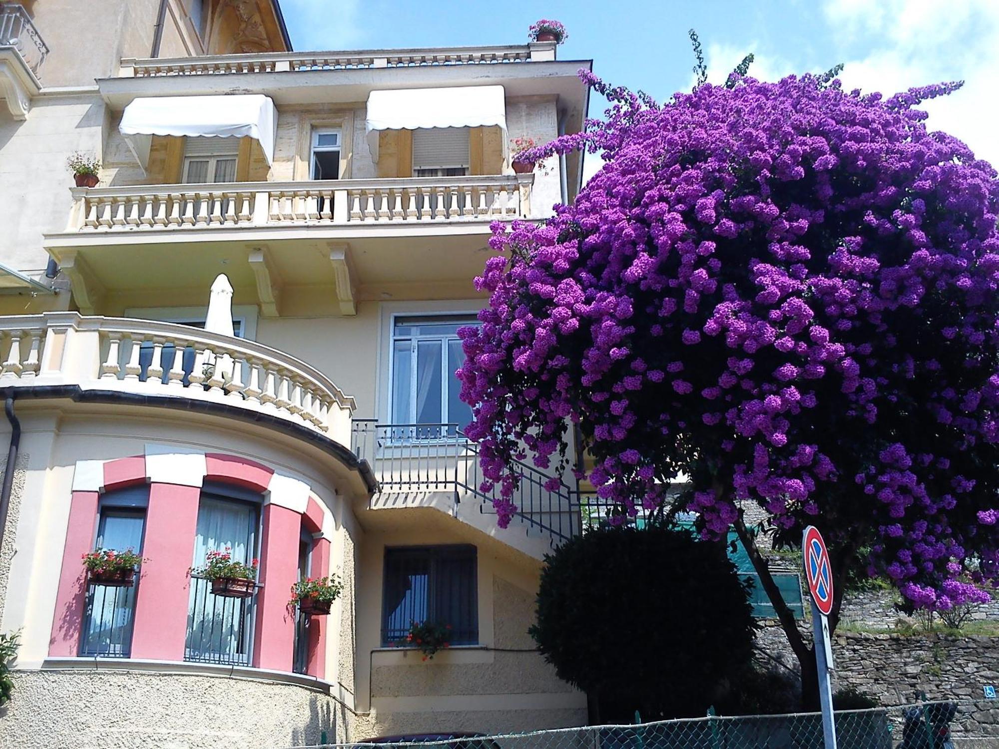 Hotel Canali, Portofino Coast Rapallo Buitenkant foto