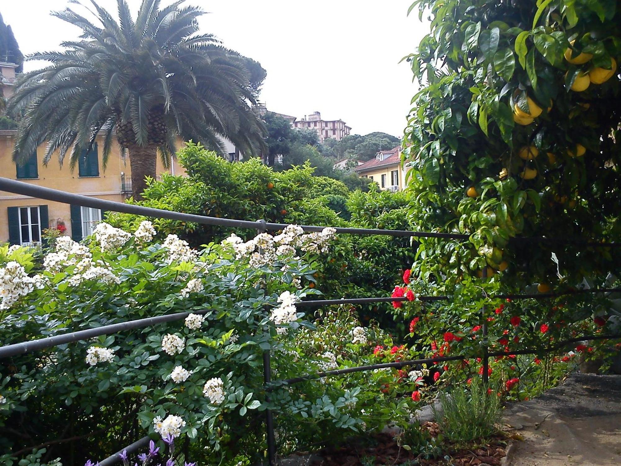 Hotel Canali, Portofino Coast Rapallo Buitenkant foto